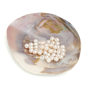 Freshwater Pearl